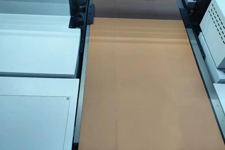 Conveyor Belt System